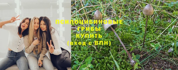 индика Баксан