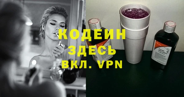 индика Баксан