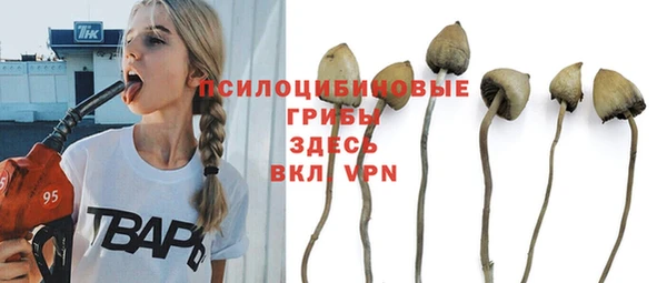 эйфоретик Белокуриха