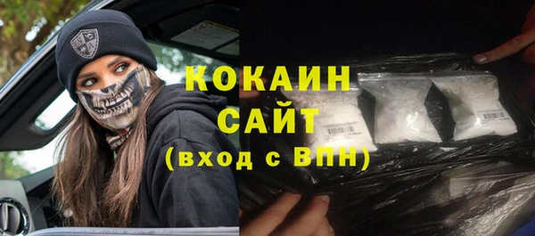 индика Баксан