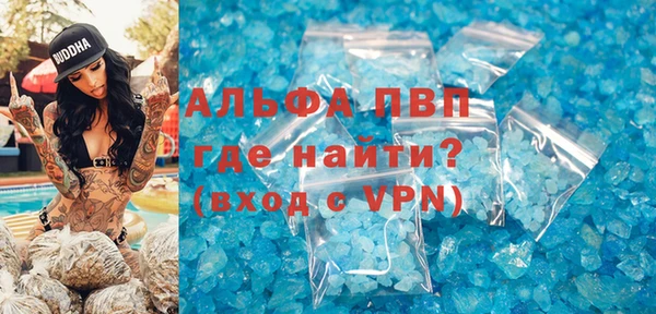 индика Баксан