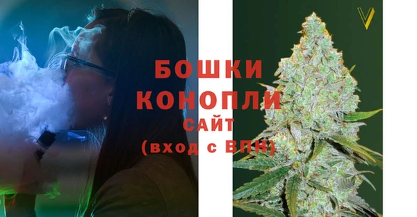 индика Баксан