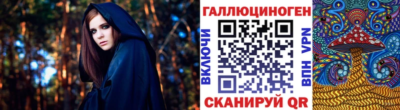 купить   Муравленко  Галлюциногенные грибы Psilocybine cubensis 